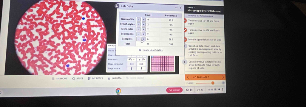 PH5E 4 
Lab Data Microscope differential count 
Complere the following steps 
Tur objective to 10X and focus 
again 
Turn objective to 40X and focus 
egain 
Move to upper-left corner of slide 
Open Lab Dats. Count each type 
How to Identify WBCs of WBC i ea c region of s l clicking corresponding buttons in 
Lab Data 
rizontal Count 50 WBCs in total by using arrow buttons to move through 
Stage vertical regions of slide. 
LAB DATA ==OW LAde c= GO TO PHASE 5 
PHASES 
Ext session o Oct 12 12:59