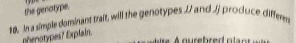 the genotype. 
10. In a simple dominant trait, will the genotypes // and // produce differes 
phenotypes? Explain.