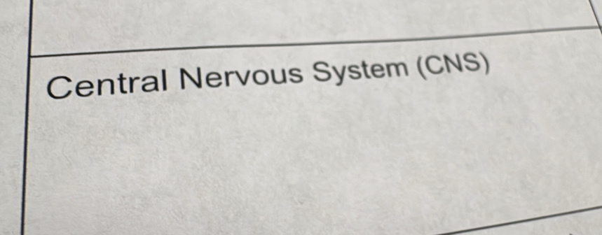 Central Nervous System (CNS)