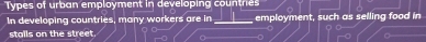 Types of urban employment in developing countres 
In developing countries, many workers are in_ employment, such as selling food in 
stalls on the street.