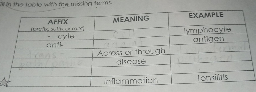 ill in the table with the missing terms.