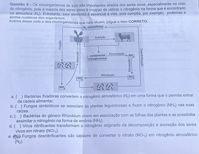 Os microrganismos do solo são importantes aliados dos seres vivos, especialmente no ciclo
do nitrogênio, pois a maioria dos seres vivos é incapaz de utilizar o nitrogênio na forma que é encontrado
na atmosfera (N_2). Entretanto, este elemento é essencial à vida, pois compõe, por exemplo, proteínas e
ácidos nucleicos dos organismos.
Acerca desse ciclo e dos microrganismos que nele atuam, julgue o item CORRETO.
a. ( ) Bactérias fixadoras convertem o nitrogênio atmosférico (N_2) em uma forma que o permite entrar
da cadeia alimentar.
b. ( ) Fungos simbióticos se associam às plantas leguminosas e fixam o nitrogênio (NH_3) nas suas
raízes.
c. ( ) Bactérias do gênero Rhizobium vivem em associação com as folhas das plantas e as possibilita
assimilar o nitrogênio na forma de amônia (NH_3).
d. ( ) Vírus nitrificantes transformam o nitrogênio originado da decomposição e excreção dos seres
vivos em nitrato (NO-_3).
e. A Fungos desnitrificantes são capazes de converter o nitrato (NO_-2) em nitrogênio atmosférico
(N_2).