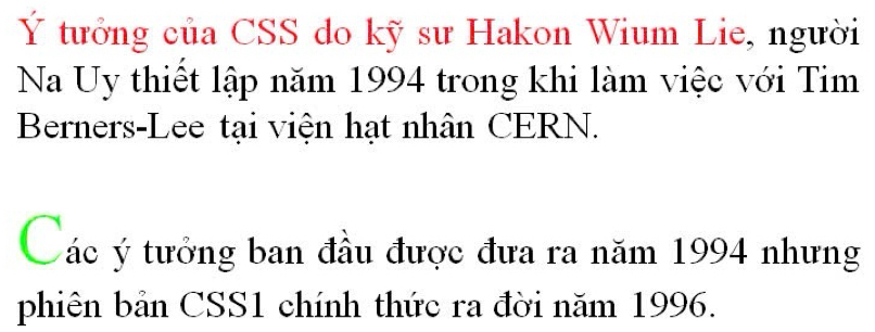 Ý tưởng của CSS do kỹ sư Hakon Wium Lie, người 
Na Uy thiết lập năm 1994 trong khi làm việc với Tim 
Berners-Lee tại viện hạt nhân CERN. 
Các ý tưởng ban đầu được đưa ra năm 1994 nhưng 
phiên bản CSS1 chính thức ra đời năm 1996.