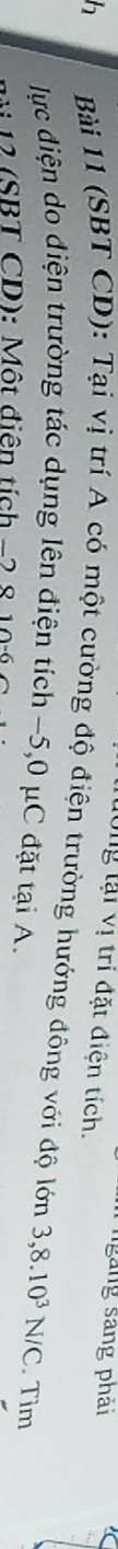 ngng sang phải 
tông tại vị trí đặt điện tích. 
Bài 11 (SBT CD): Tại vị trí A có một cường độ điện trường hướng đông với độ lớn 3, 8.10^3N/C. Tim 
lực điện do điện trường tác dụng lên điện tích −5, 0 μC đặt tại A. 
12(SBT CD): Một điện tích −2 8 10½ C