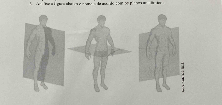 Analise a figura abaixo e nomeie de acordo com os planos anatômicos.