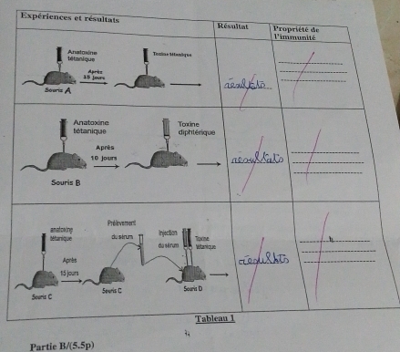 Expériences et 
Partie B/(5.5p)