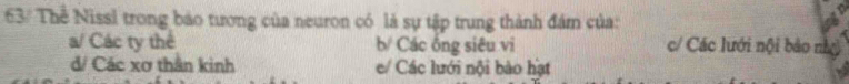 63/ Thể Nissl trong báo tương của neuron có là sự tập trung thành đám của:
a/ Các ty thể b/ Các ông siêu vi c/ Các lưới nội bảo nh
d/ Các xơ thân kinh e/ Các lưới nội bào hạt