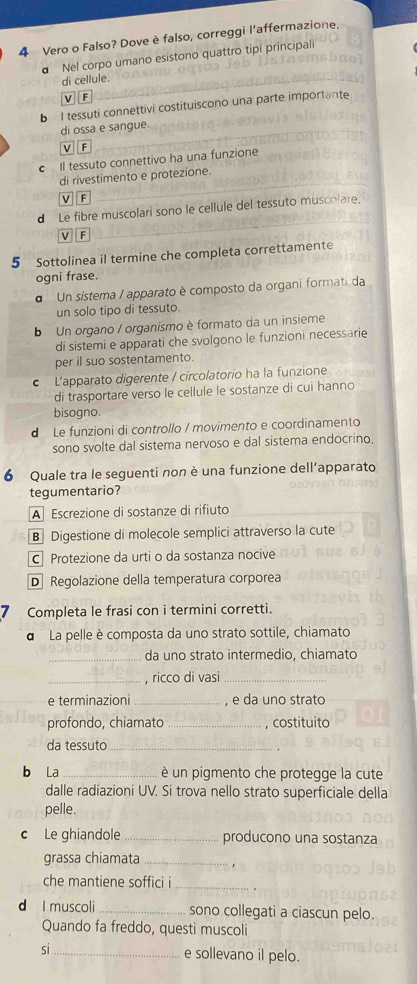 Vero o Falso? Dove è falso, correggi l'affermazione.
Nel corpo umano esistono quattro tipí principali
di cellule.
V F
b I tessuti connettivi costituiscono una parte importante
di ossa e sangue
V F
c  Il tessuto connettivo ha una funzione
di rivestimento e protezione.
V F
d Le fibre muscolari sono le cellule del tessuto muscolare.
F
5 Sottolinea il termine che completa correttamente
ogni frase.
d Un sistema / apparato è composto da organi formati da
un solo tipo di tessuto.
b Un organo / organísmo è formato da un insieme
di sistemi e apparati che svolgono le funzioni necessarie
per il suo sostentamento.
c L'apparato digerente / circolatorio ha la funzione
di trasportare verso le cellule le sostanze di cui hanno
bisogno.
d Le funzioni di controllo / movimento e coordinamento
sono svolte dal sistema nervoso e dal sistema endocrino.
6 Quale tra le seguenti non è una funzione dell’apparato
tegumentario?
A Escrezione di sostanze di rifiuto
B Digestione di molecole semplici attraverso la cute
C Protezione da urti o da sostanza nocive
D Regolazione della temperatura corporea
Completa le frasi con i termini corretti.
d La pelle è composta da uno strato sottile, chiamato
_da uno strato intermedio, chiamato
_, ricco di vasi_
e terminazioni _, e da uno strato
profondo, chiamato _, costituito
da tessuto_
b La_ è un pigmento che protegge la cute
dalle radiazioni UV. Si trova nello strato superficiale della
pelle.
c Le ghiandole _producono una sostanza
grassa chiamata_
che mantiene soffici i_
d I muscoli_ sono collegati a ciascun pelo.
Quando fa freddo, questi muscoli
si_ e sollevano il pelo.