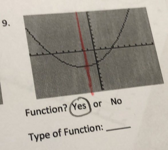 Function? 
Type of Function:_