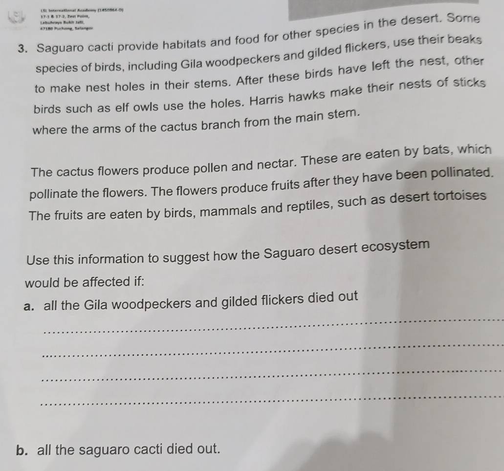LSI International Academy (1450964-0) 
17-1 B 17-2, Zest Paint. 
Lebuhrays Bukit Jafll 
47180 Puchong, Selangor 
3. Saguaro cacti provide habitats and food for other species in the desert. Some 
species of birds, including Gila woodpeckers and gilded flickers, use their beaks 
to make nest holes in their stems. After these birds have left the nest, other 
birds such as elf owls use the holes. Harris hawks make their nests of sticks 
where the arms of the cactus branch from the main stem. 
The cactus flowers produce pollen and nectar. These are eaten by bats, which 
pollinate the flowers. The flowers produce fruits after they have been pollinated. 
The fruits are eaten by birds, mammals and reptiles, such as desert tortoises 
Use this information to suggest how the Saguaro desert ecosystem 
would be affected if: 
_ 
a. all the Gila woodpeckers and gilded flickers died out 
_ 
_ 
_ 
b. all the saguaro cacti died out.