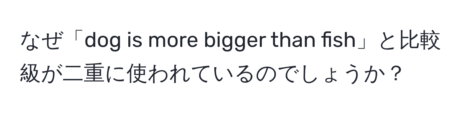 なぜ「dog is more bigger than fish」と比較級が二重に使われているのでしょうか？