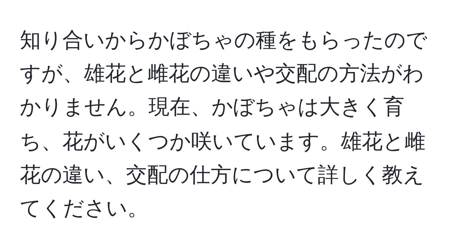 知り合いからかぼちゃの種をもらったのですが、雄花と雌花の違いや交配の方法がわかりません。現在、かぼちゃは大きく育ち、花がいくつか咲いています。雄花と雌花の違い、交配の仕方について詳しく教えてください。