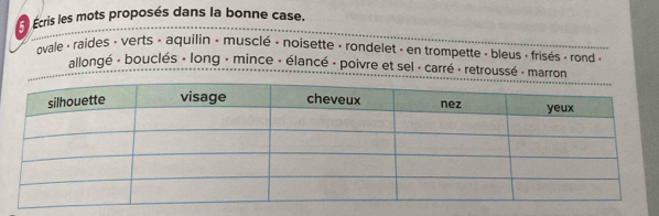 Écris les mots proposés dans la bonne case. 
ovale « raides « verts « aquilin « musclé - noisette » rondelet » en trompette » bleus - frisés » rond « 
allongé : bouclés : long : mince : élancé : poivre et sel : carré : retroussé : marron