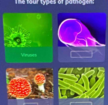 The four types of pathogen: