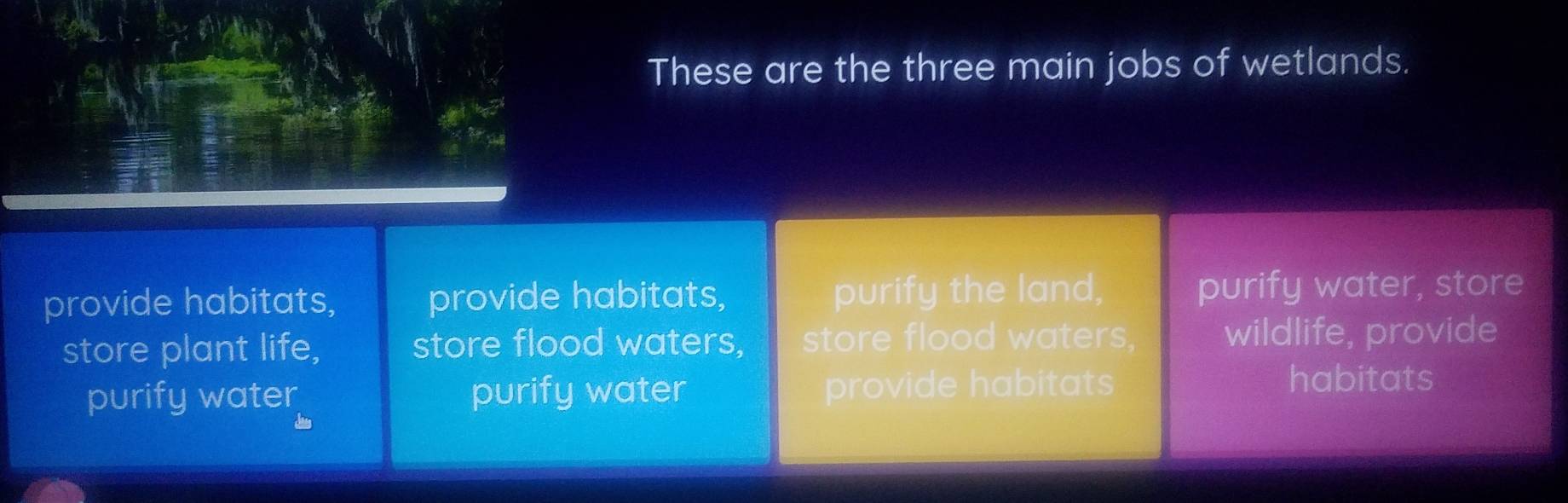 These are the three main jobs of wetlands.
provide habitats, provide habitats, purify the land, purify water, store
store plant life, store flood waters, store flood waters. wildlife, provide
purify water purify water provide habitats
habitats