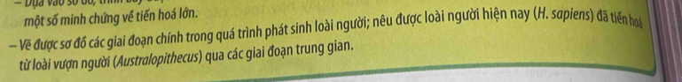 một số minh chứng về tiến hoá lớn. 
- Vẽ được sơ đồ các giai đoạn chính trong quá trình phát sinh loài người; nêu được loài người hiện nay (H. sapiens) đã tiến hoá 
từ loài vượn người (Australopithecus) qua các giai đoạn trung gian.