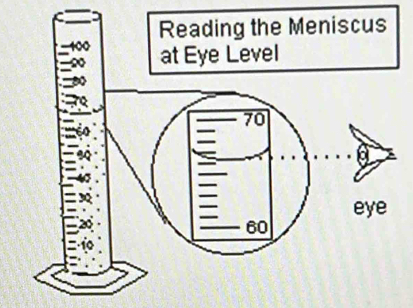 iscus 
eye