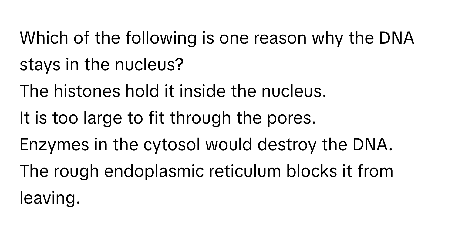 Which of the following is one reason why the DNA stays in the nucleus?
The histones hold it inside the nucleus.
It is too large to fit through the pores.
Enzymes in the cytosol would destroy the DNA.
The rough endoplasmic reticulum blocks it from leaving.