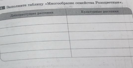 αεнτеατаблнцу δМногообразие семейства Розоцвеτные◆.