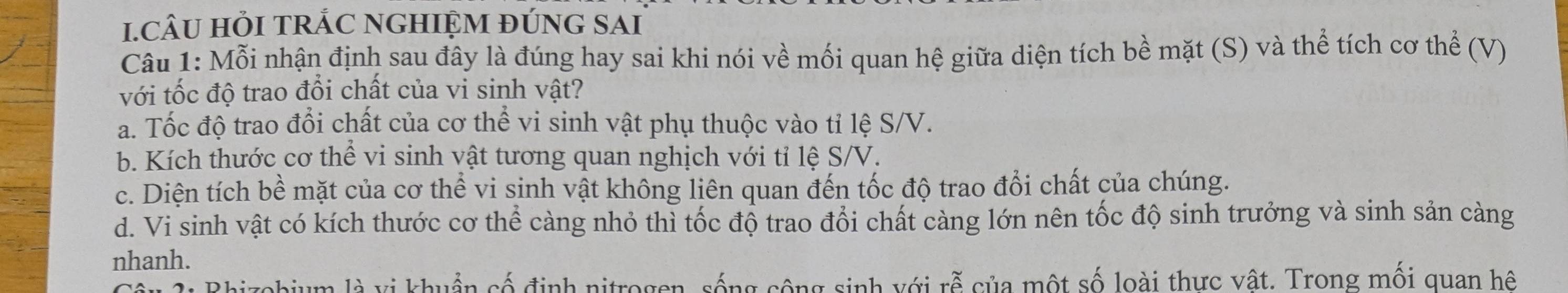 CÂU HỏI TRÁC NGHIỆM ĐÚNG SAI
Câu 1: Mỗi nhận định sau đây là đúng hay sai khi nói về mối quan hệ giữa diện tích bề mặt (S) và thể tích cơ thể (V)
với tốc độ trao đổi chất của vi sinh vật?
a. Tốc độ trao đổi chất của cơ thể vi sinh vật phụ thuộc vào tỉ lệ S/V.
b. Kích thước cơ thể vi sinh vật tương quan nghịch với tỉ lệ S/V.
c. Diện tích bề mặt của cơ thể vi sinh vật không liên quan đến tốc độ trao đổi chất của chúng.
d. Vi sinh vật có kích thước cơ thể càng nhỏ thì tốc độ trao đổi chất càng lớn nên tốc độ sinh trưởng và sinh sản càng
nhanh.
aizobium là vị khuẩn cố định nitrogen, sống cộng sinh với rễ của một số loài thực vật. Trong mối quan hệ