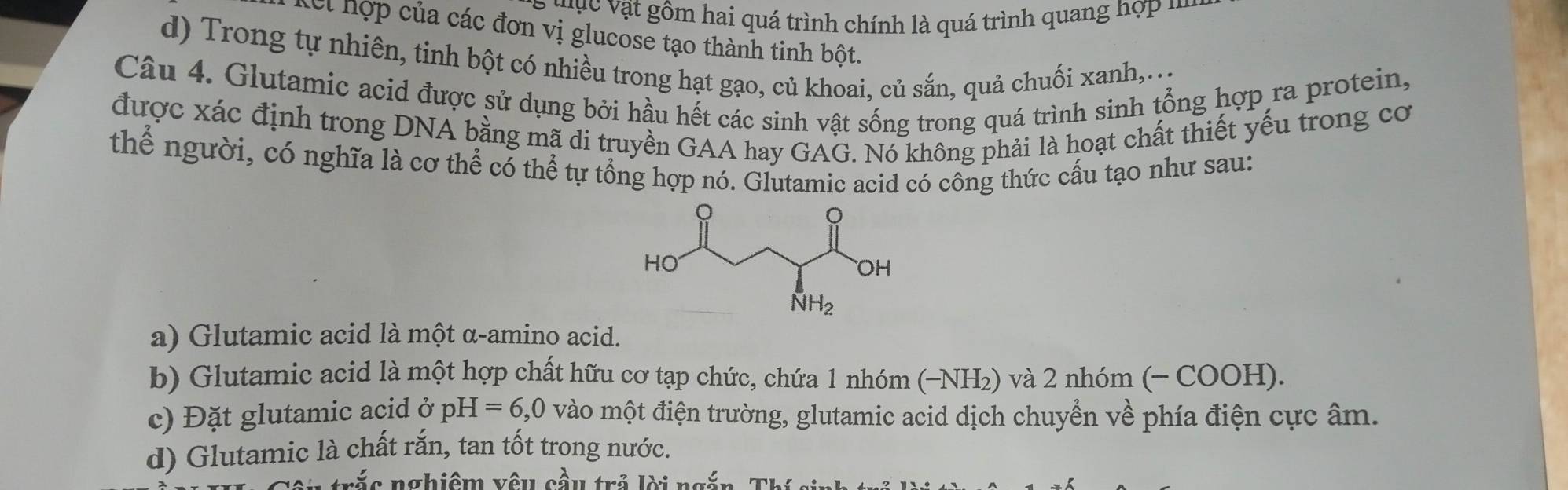 vật gôm hai quá trình chính là quá trình quang hợp '''
Kel hợp của các đơn vị glucose tạo thành tinh bột.
d) Trong tự nhiên, tinh bột có nhiều trong hạt gạo, củ khoai, củ sắn, quả chuối xanh,..
Câu 4. Glutamic acid được sử dụng bởi hầu hết các sinh vật sống trong quá trình sinh tổng hợp ra protein,
được xác định trong DNA bằng mã di truyền GAA hay GAG. Nó không phải là hoạt chất thiết yếu trong cơ
thể người, có nghĩa là cơ thể có thể tự tổng hợp nó. Glutamic acid có công thức cấu tạo như sau:
a) Glutamic acid là một α-amino acid.
b) Glutamic acid là một hợp chất hữu cơ tạp chức, chứa 1 nhóm (−NH₂) và 2 nhóm ( - COOH).
c) Đặt glutamic acid ở pH=6, ( O vào một điện trường, glutamic acid dịch chuyển về phía điện cực âm.
d) Glutamic là chất rắn, tan tốt trong nước.
trắc nghiệm vêu cầu trả lời ng