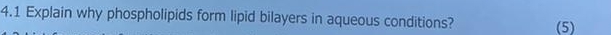 4.1 Explain why phospholipids form lipid bilayers in aqueous conditions? (5)