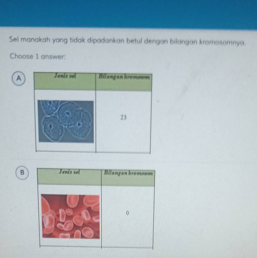 Sel manakah yang tidak dipadankan betul dengan bilangan kromosomnya.
Choose 1 answer:
Jenis sel
A Bilangan kromosom
23
B Jenis sel Bilangankromosom
0