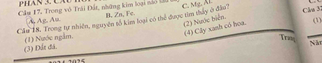 PHAN 3. CAU Y
Câu 17, Trong vô Trái Đất, những kim loại nào sầu
A Ag, Au. B. Zn, Fe.
Câu 32
Câu 18. Trong tự nhiên, nguyên tổ kim loại có thể được tìm thầy ở đầu? C. Mg, Al.
(2) Nước biển.
(4) Cây xanh có hoa.
(1) Nước ngẫm. (1)
Tran
(3) Đất đá.
Năn