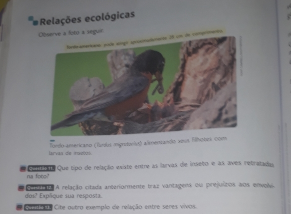 Relações ecológicas 
Observe a foto a seguir. 
Tordo-americano: pode atíngir aproxmadamente 28 cm de comprimento. 
Tordo-americano (Turdus migratorius) alimentando seus filhotes com 
larvas de insetos. 
ciao n. Que tipo de relação existe entre as larvas de inseto e as aves retratadas 
na foto? 
eoatoz A relação citada anteriormente traz vantagens ou prejuízos aos envolvi. 
dos? Explique sua resposta. 
Questão 13. Cite outro exemplo de relação entre seres vivos.