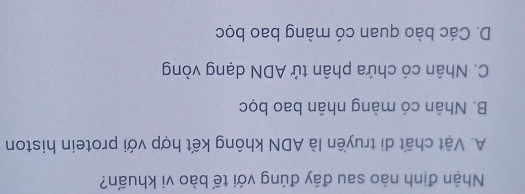 Nhận định nào sau đây đúng với tế bào vi khuấn?
A. Vật chất di truyền là ADN không kết hợp với protein histon
B. Nhân có màng nhân bao bọc
C. Nhân có chứa phân tử ADN dạng vòng
D. Các bào quan có màng bao bọc