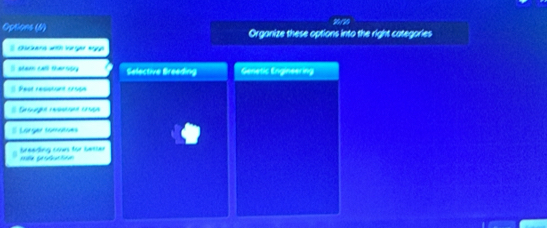 Opsions (N) Organize these options into the right categories
E Chuckans with vür ger Kgge
I stean call therttly Selective Breeding Genetic Engineering
Peot résistant crope
Graue caaseçne craça
# Lorger tomatons
Mie production Breeding cown for bester