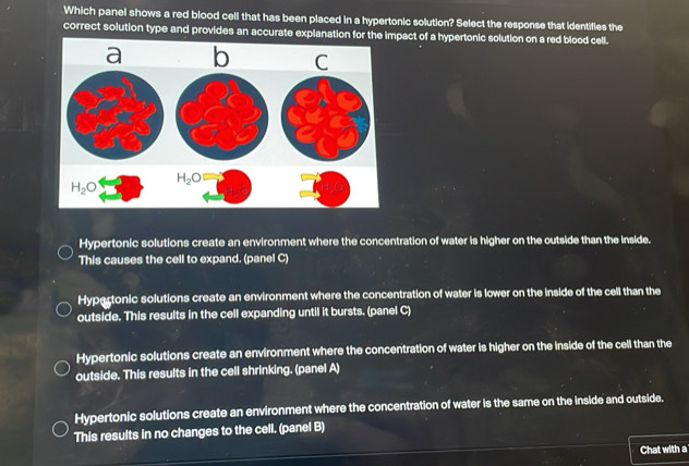 Which panel shows a red blood cell that has been placed in a hypertonic solution? Select the response that identifies the
correct solution type and provides an accurate explanation for the impact of a hypertonic solution on a red blood cell.
a b C
H_2O
H_2O
Hypertonic solutions create an environment where the concentration of water is higher on the outside than the inside.
This causes the cell to expand. (panel C)
Hypertonic solutions create an environment where the concentration of water is lower on the inside of the cell than the
outside. This results in the cell expanding until it bursts. (panel C)
Hypertonic solutions create an environment where the concentration of water is higher on the inside of the cell than the
outside. This results in the cell shrinking. (panel A)
Hypertonic solutions create an environment where the concentration of water is the same on the inside and outside.
This results in no changes to the cell. (panel B)
Chat with a