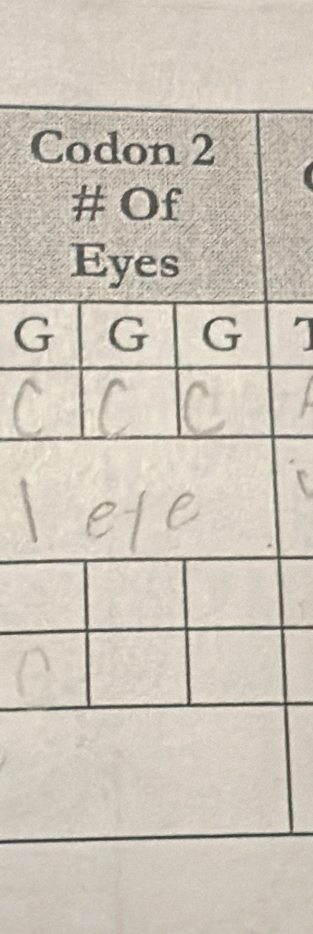 Codon 2 
# Of 
Eyes 
G G G 1