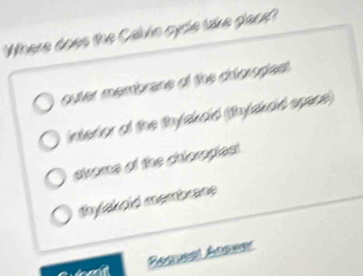 Where does the Calvin gyrle take gland?
outer membrane of the diorogest.
interior of the thylakaid (thylakad space)
strome of the chioropies!
thylakold membrane
a Rogueal Augee