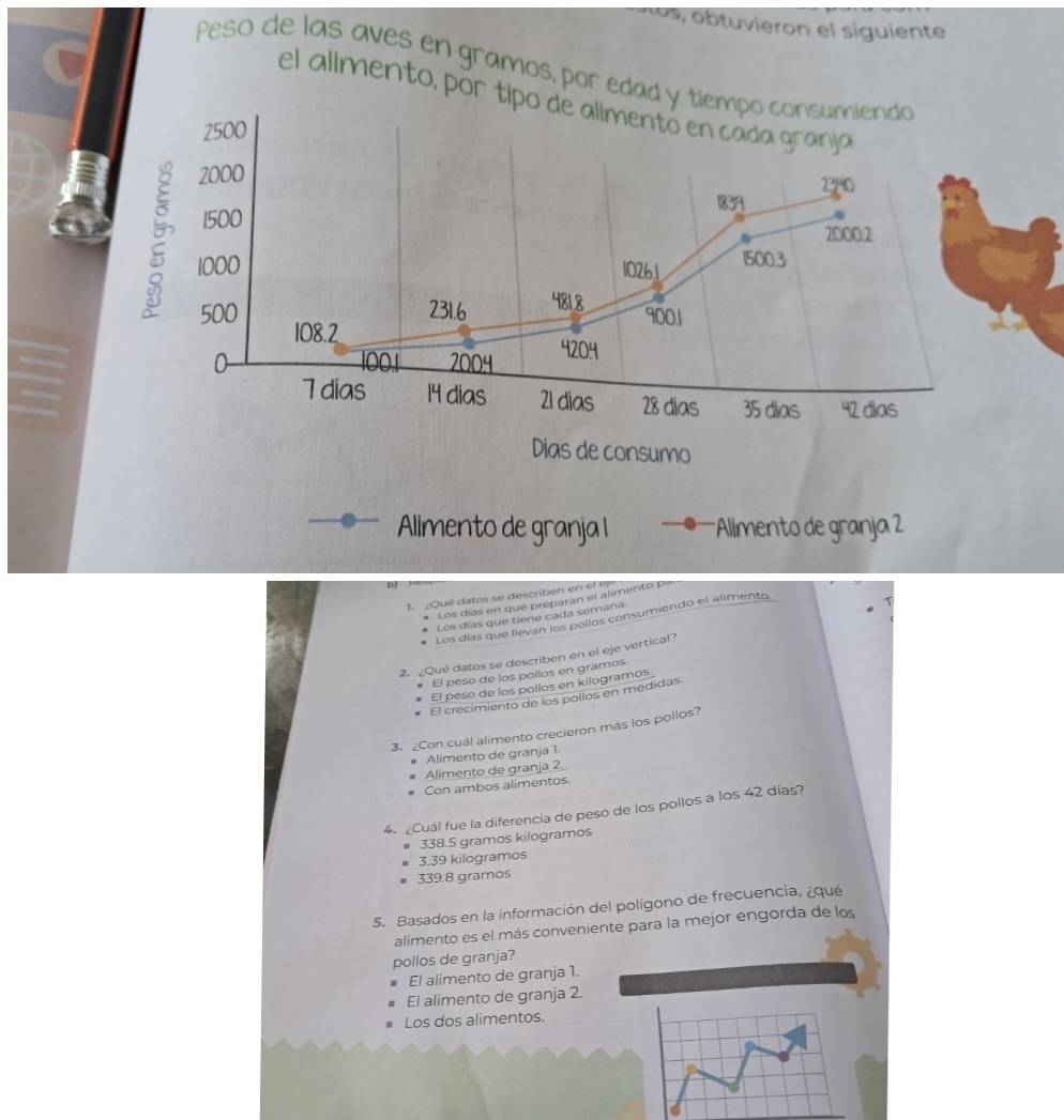 o, b tuvieron el siguiente
Peso de las aves en gramos, por edad y tiempo consumiendo
el alimento, por tipo de alimentó en cada granja
2500
2000
2380
1839
1500
2 1000
2000.2
10261 1500.3
231.6 481,8
500 108.2
9001
0 1001 2004
4204
7 dias 14 dias 21 dias 28 dias 35 dias 42 dias
Dias de consumo
Alimento de granja I *Allmento de granja 2
bJ
1. ¿Qué datos se describén en el 9
Los días en que preparan el alimento P
Los días que tiene cada semana
Los días que llevan los pollos consumiendo el alimento
2. ¿Que datos se describen en el eje vertical?
El peso de los pollos en gramos
El peso de los pollos en kilogramos
El crecimiento de los pollos en medidas.
3. ¿Con cuál alimento crecieron más los pollos?
Alimento de granja 1.
Alimento de granja 2
Con ambos alimentos.
4 Cuál fue la diferencia de peso de los pollos a los 42 días?
338.5 gramos kilogramos
3.39 kilogramos
339.8 gramos
5. Basados en la información del polígono de frecuencia, ¿qué
alimento es el más conveniente para la mejor engorda de los
pollos de granja
El alimento de granja 1.
El alimento de granja 2.
Los dos alimentos.