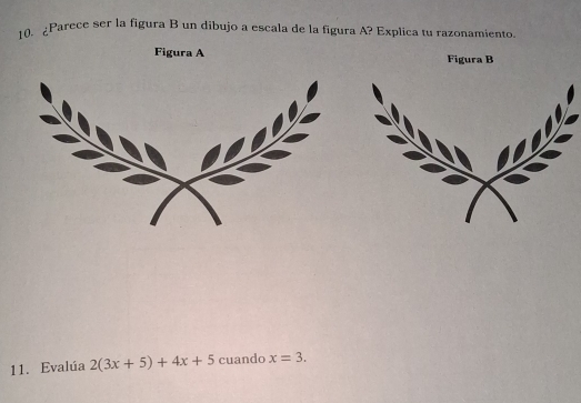 ¿Parece ser la figura B un dibujo a escala de la figura A? Explica tu razonamiento. 
Figura A 
11. Evalúa 2(3x+5)+4x+5 cuando x=3.