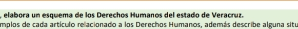 elabora un esquema de los Derechos Humanos del estado de Veracruz. 
emplos de cada artículo relacionado a los Derechos Humanos, además describe alguna situ