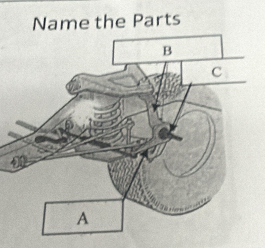 Name the Parts