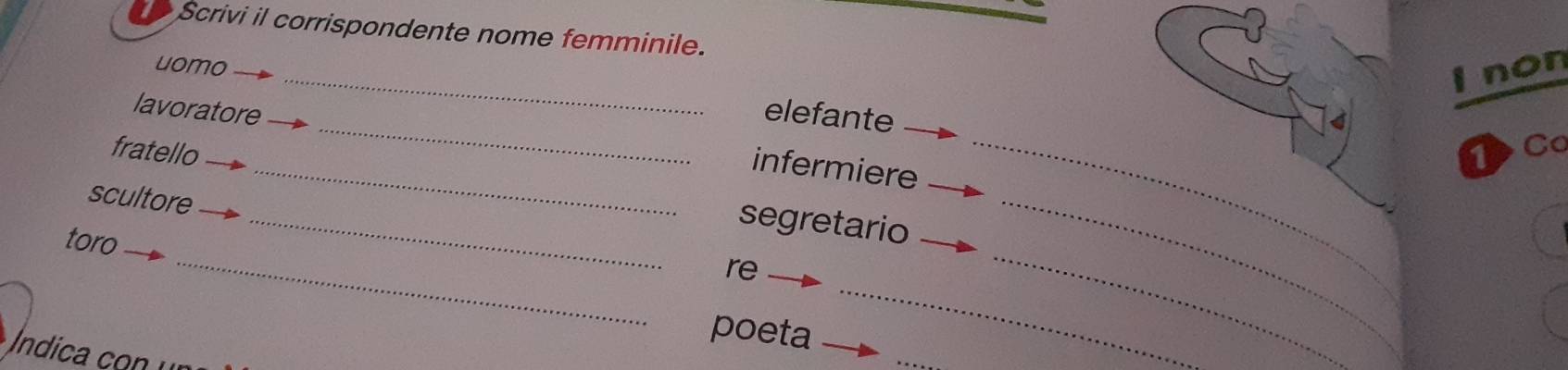 Scrivi il corrispondente nome femminile. 
_ 
uomo 
I non 
_ 
lavoratore elefante 
1 Cc 
infermiere 
_ 
_ 
fratello _segretario_ 
scultore _re_ 
toro 
poeta 
ndica 
_ 
_