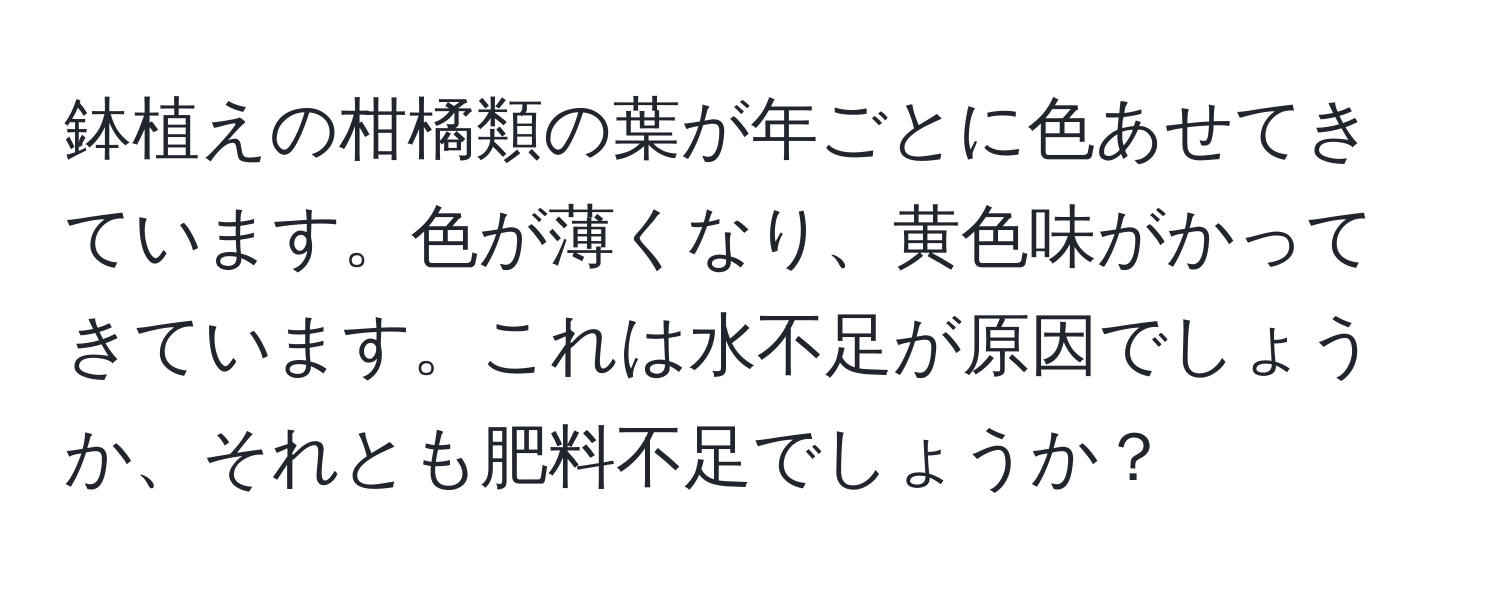 鉢植えの柑橘類の葉が年ごとに色あせてきています。色が薄くなり、黄色味がかってきています。これは水不足が原因でしょうか、それとも肥料不足でしょうか？