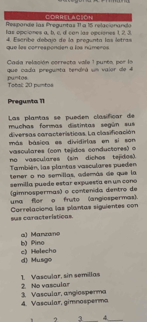 CORRELACION
Responde las Preguntas 11 a 15 relacionando
las opciones a, b, c, d con las opciones 1, 2, 3,
4. Escribe debajo de la pregunta las letras
que les corresponden a los números.
Cada relación correcta vale 1 punto, por lo
que cada pregunta tendrá un valor de 4
puntos.
Total: 20 puntos
Pregunta 11
Las plantas se pueden clasificar de
muchas formas distintas según sus
diversas características. La clasificación
más básica es dividirlas en si son
vasculares (con tejidos conductores) o
no vasculares (sin dichos tejidos).
También, las plantas vasculares pueden
tener o no semillas, además de que la
semilla puede estar expuesta en un cono
(gimnospermas) o contenida dentro de
una flor o fruto (angiospermas).
Correlaciona las plantas siguientes con
sus características.
a) Manzano
b) Pino
c) Helecho
d) Musgo
1. Vascular, sin semillas
2. No vascular
3. Vascular, angiosperma
4. Vascular, gimnosperma
1 2 3._ 4._