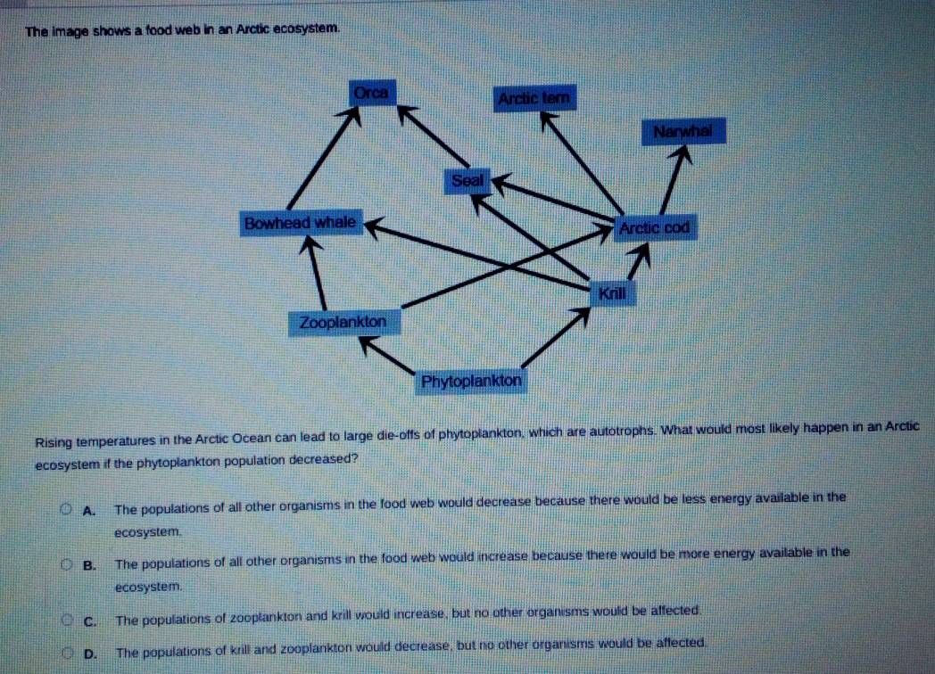 The image shows a food web in an Arctic ecosystem.
Rising temperatures in the Arctic Ocean can lead to large die-offs of phytoplankton, which are autotrophs. What would most likely happen in an Arctic
ecosystem if the phytoplankton population decreased?
A. The populations of all other organisms in the food web would decrease because there would be less energy available in the
ecosystem.
B. The populations of all other organisms in the food web would increase because there would be more energy available in the
ecosyste m.
C. The populations of zooplankton and krill would increase, but no other organisms would be affected.
D. The populations of krill and zooplankton would decrease, but no other organisms would be affected.