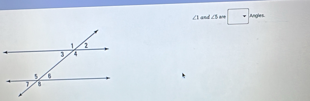 ∠ 1 and ∠ 5 are Angles.