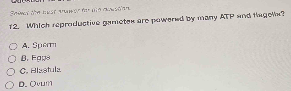 Ques
Select the best answer for the question.
12. Which reproductive gametes are powered by many ATP and flagella?
A. Sperm
B. Eggs
C. Blastula
D. Ovum