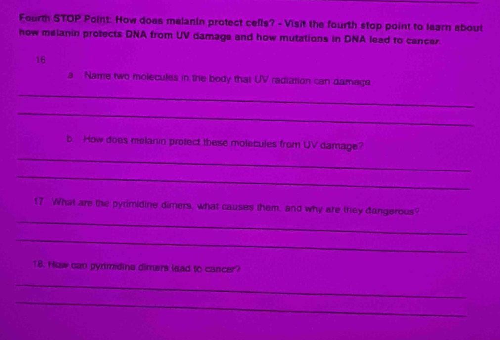 Fourth STOP Point: How does malanin protect cells? - Visit the fourth stop point to learn about 
how melanin protects DNA from UV damage and how mutations in DNA lead to cancer. 
16 
a Name two molecules in the body that UV radiation can damage 
_ 
_ 
b. How does melanin protect these molecules from UV damnage? 
_ 
_ 
_ 
17 What are the pyrimidine dimers, what causes them, and why are they dangerous? 
_ 
18. How can pyrmidine dimers lead to cancer? 
_ 
_