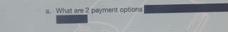 What are 2 payment options