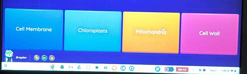 Cell Membrane Chloroplasts Mitochondria Cell Wall
Brayden