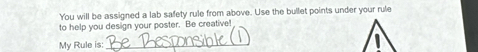 You will be assigned a lab safety rule from above. Use the bullet points under your rule 
to help you design your poster. Be creative! 
My Rule is:_