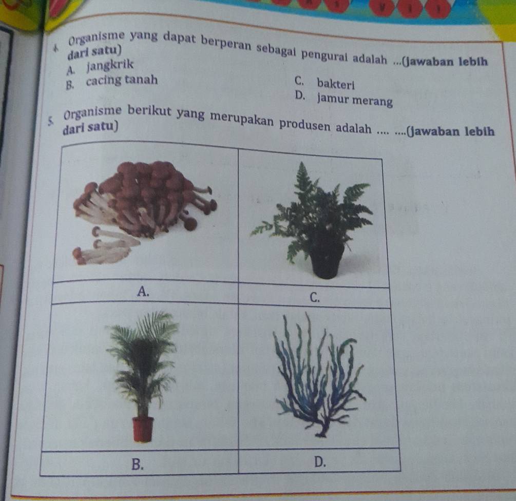 1
1
Organisme yang dapat berperan sebagai pengurai adalah ...(jawaban lebih dari satu)
A. jangkrik
B. cacing tanah C. bakteri
D. jamur merang
5 Organisme berikut yang merupakan produsenwaban lebih
tu)