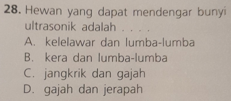 Hewan yang dapat mendengar bunyi
ultrasonik adalah . . . .
A. kelelawar dan lumba-lumba
B. kera dan lumba-lumba
C. jangkrik dan gajah
D. gajah dan jerapah